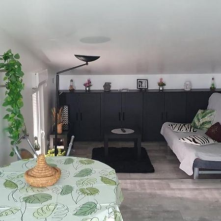 Appartement Cocooning Auterive Auterive  Экстерьер фото