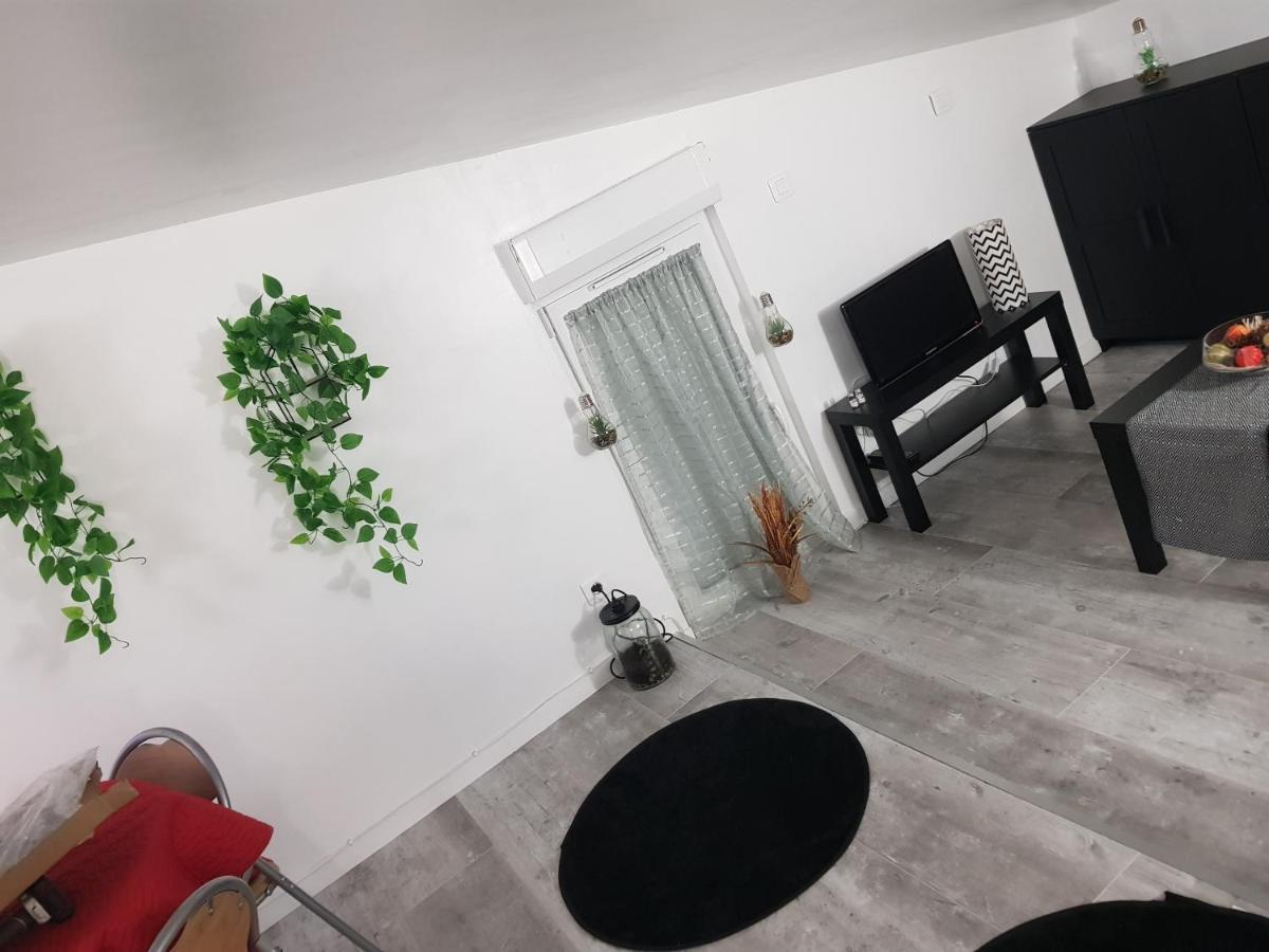 Appartement Cocooning Auterive Auterive  Экстерьер фото